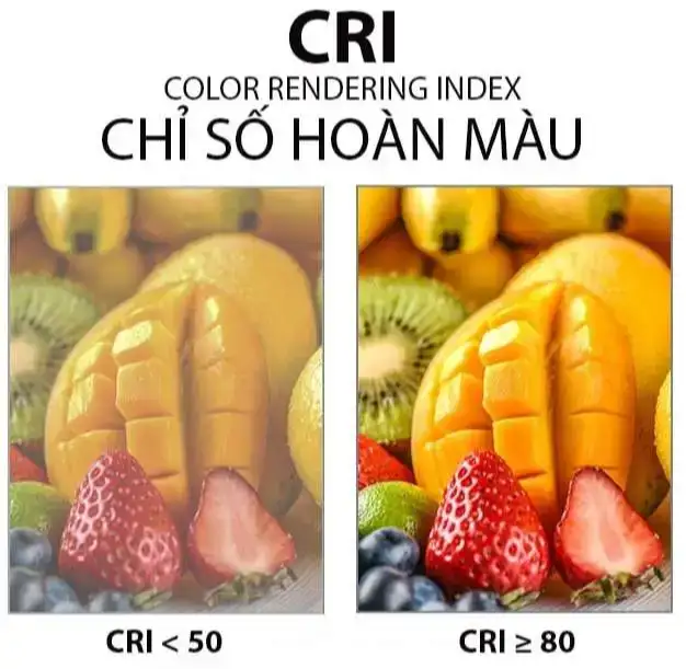 Đèn LED Panel 600x600 RC001B LED 38W Philips 